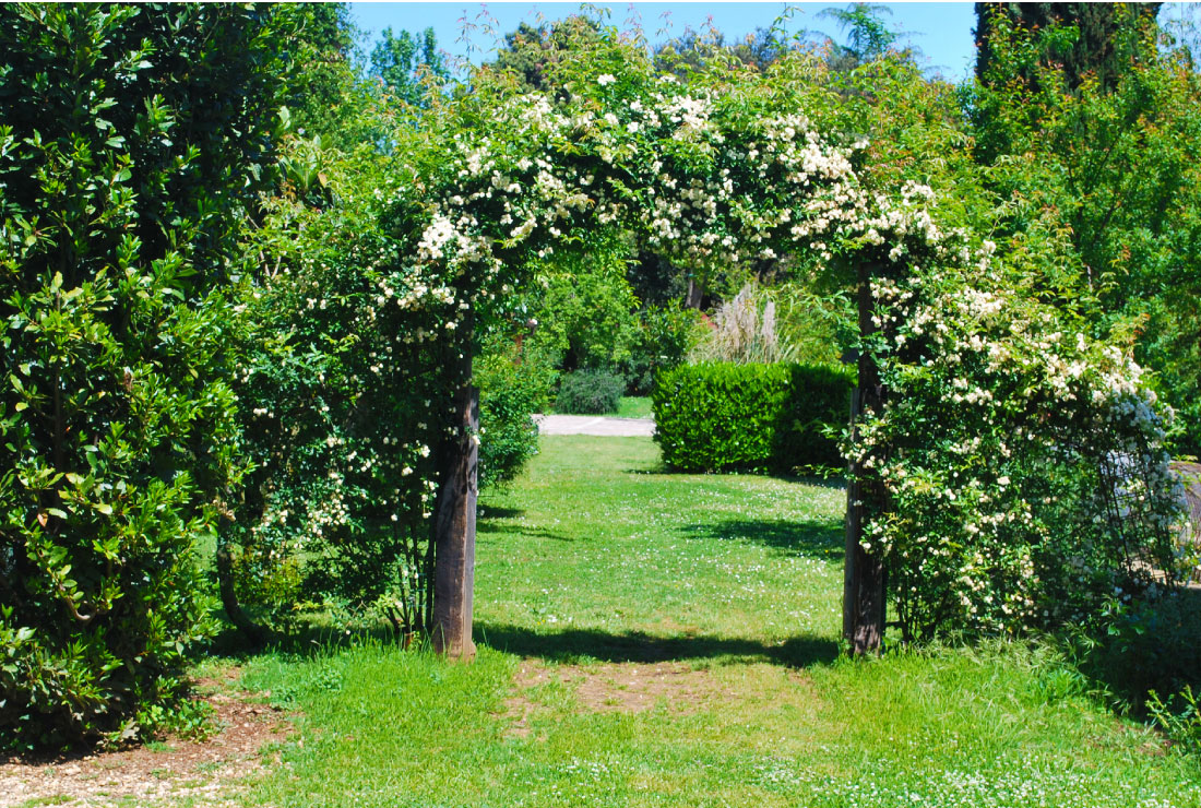 Bed Breakfast Rome Natura Appia